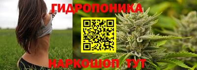 марки lsd Северобайкальск