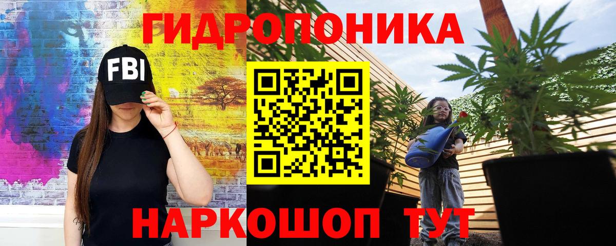 Орехово-Зуево  Бошки марихуана SATIVA & INDICA  Конопля ГИДРОПОН  Бошки Шишки Bruce Banner  Вход с VPN 
